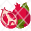 pomegranatefruit-food-organic-vegan-healthy-diet-vegetarian-restaurant-icon