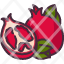 pomegranatefruit-food-organic-vegan-healthy-diet-vegetarian-restaurant-icon