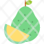 pomelo-nature-plant-tree-icon