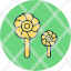 poppy-ecology-environment-flower-garden-plant-bloom-icon