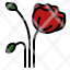 poppy-flower-red-memorial-day-military-poppyseed-icon