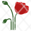 poppy-flower-red-memorial-day-military-poppyseed-icon