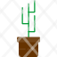 pot-plant-nature-succulent-houseplant-cactus-icon