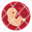 pregnant-pregnancy-motherhood-medical-body-icon