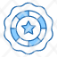 premium-product-quality-special-star-cyber-online-icon