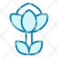 protea-flower-plant-blossom-garden-floral-nature-icon