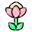 protea-flower-plant-blossom-garden-floral-nature-icon
