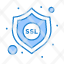 protection-security-ssl-icon