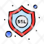 protection-security-ssl-icon