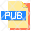 pub-file-icon