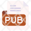 pub-m-file-type-format-extension-document-icon