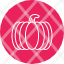 pumpkin-autumn-food-halloween-harvest-plant-vegetable-icon