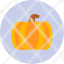 pumpkin-autumn-food-halloween-harvest-plant-vegetable-icon