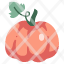 pumpkin-food-vegetable-agriculture-healthy-fresh-icon