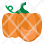 pumpkin-food-vegetable-healthy-organic-icon