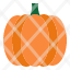pumpkin-gourd-food-vegetable-fruit-icon
