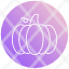pumpkin-halloween-scary-food-vegetable-spooky-horror-icon