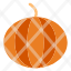 pumpkin-vegetable-icon