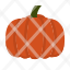 pumpkin-vegeteble-farm-agriculture-gardening-icon