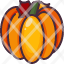 pumpkinvegan-fruit-icon