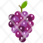 purple-grapes-fruits-fruit-food-icon