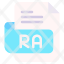 ra-file-type-format-extension-document-icon