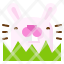 rabbit-animal-bunny-mammal-pet-icon
