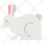 rabbit-bunny-animal-animals-zoology-icon