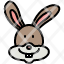 rabbit-bunny-animal-face-icon