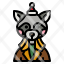 raccoon-animal-christmas-user-avatar-icon