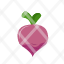 radish-red-food-vegetable-small-icon