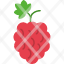 raspberries-food-delicious-sweet-fruit-icon