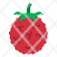 raspberry-fruit-food-healthy-organic-icon