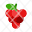 raspberry-organic-natural-icon