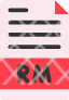 realmedia-file-icon