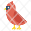 red-cardinal-cardinal-bird-wildlife-animal-avian-icon