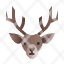 reindeer-animal-deer-winter-wild-icon