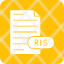 research-information-systems-citation-file-icon