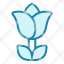 rose-flower-plant-blossom-garden-floral-nature-icon