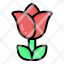 rose-flower-plant-blossom-garden-floral-nature-icon