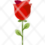 rose-nature-flower-blossom-beautiful-floral-design-icon