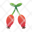 rosehip-healthy.fruit-icon