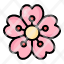 sakura-flower-plant-blossom-garden-floral-nature-icon