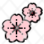 sakura-flower-scent-perfume-fragrant-aroma-therapy-icon