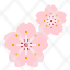 sakura-flower-scent-perfume-fragrant-aroma-therapy-icon