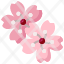 sakuraflower-cherry-blossom-japanese-farming-gardening-garden-spring-nature-icon