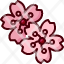 sakuraflower-cherry-blossom-japanese-farming-gardening-garden-spring-nature-icon