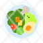 salad-breakfast-food-harvest-icon