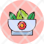 salad-head-iceberg-leaf-leafy-lettuce-vegetable-icon