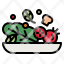 salad-vegan-vegetarian-food-vegetables-icon